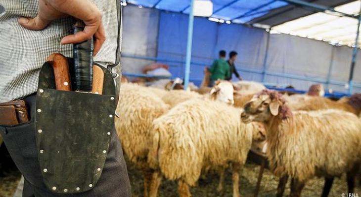 غزة بلا أضاحي للعام الثالث بسبب الحرب والحصار الإسرائيليين