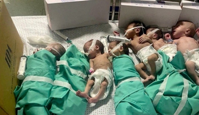 فلسطين – غزة: أكثر من 3000 مولود جديد خلال شهر فبراير